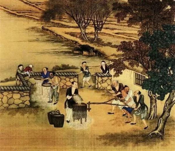 流传千古的谚语 记住的不是知识 是智慧!