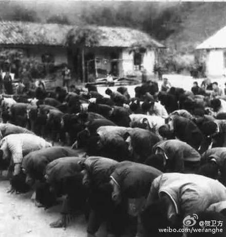 【揭秘】毛亲手培养的党文化带给中华民族的内伤空前绝后