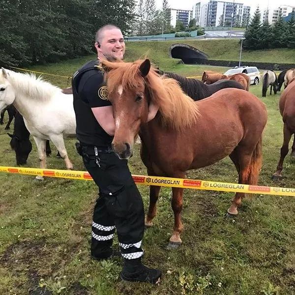 世界上最欢乐的工作 就是在冰岛当警察!