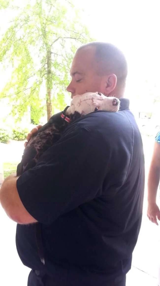 你救了动物 它们都懂!看看动物会感恩的超暖心道谢照片吧!
