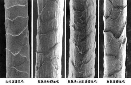毛衣为什么会起球呢?请不要再误解啦