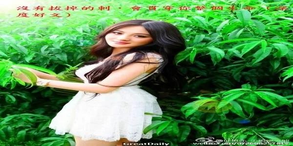 深度好文:没有拔掉的刺 会贯穿你整个生命