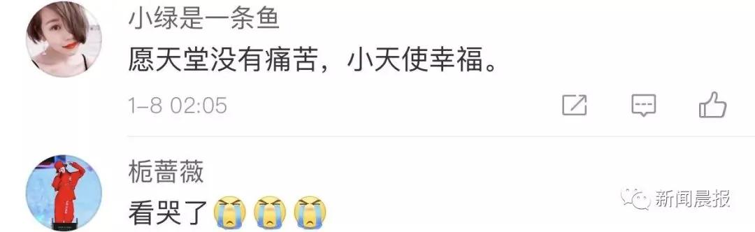 “请记住我” 4岁小男孩走红网络 背后故事太暖人!