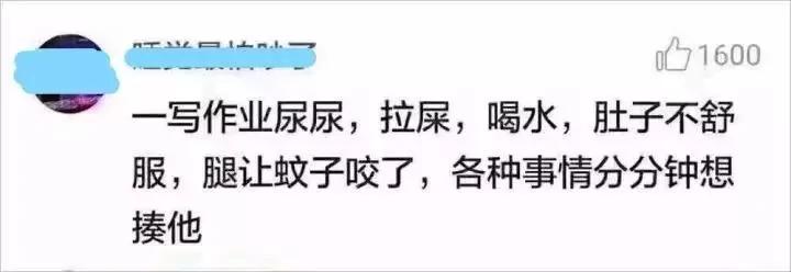 不写作业母慈子孝 一写作业鸡飞狗跳