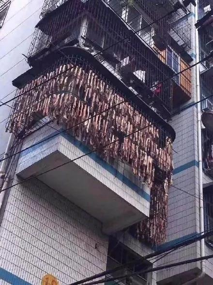 史上最壕阳台!网友:这才是南方的大户人家