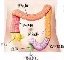 史上最壕阳台!网友:这才是南方的大户人家