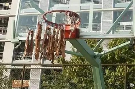 史上最壕阳台!网友:这才是南方的大户人家