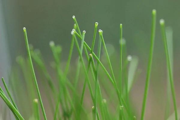 值得收藏:食物寒热属性大全