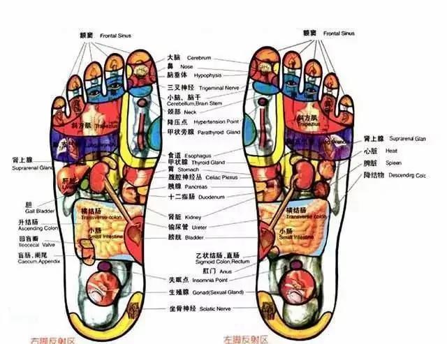 脚上有个开关 能治很多病 90%的人不知道