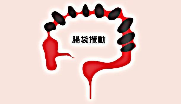 【图解知识】了解大肠日常运作