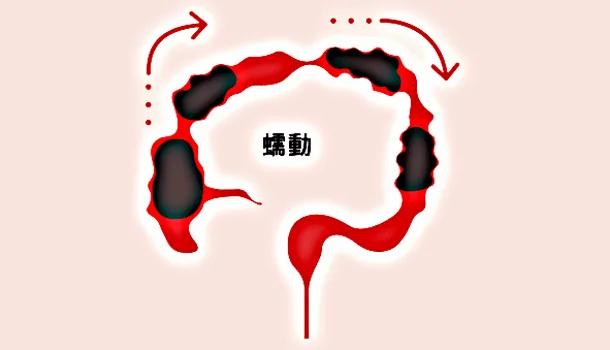 【图解知识】了解大肠日常运作