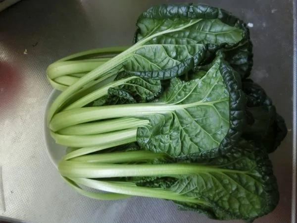 补钙食物的前十名 让你远离钙片