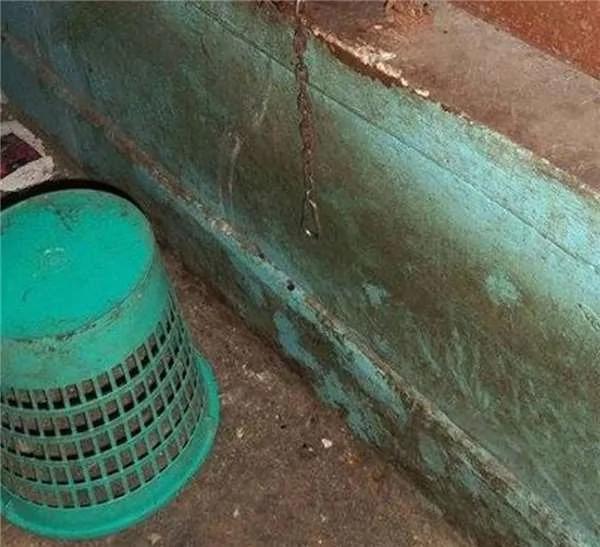 被长期拴养在阳台的狼犬痛苦难耐 决定跳楼换自由 这一跳却改变了它的生活!