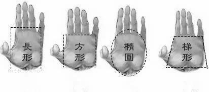 测试:从你的手型就能看出你是否富贵命!