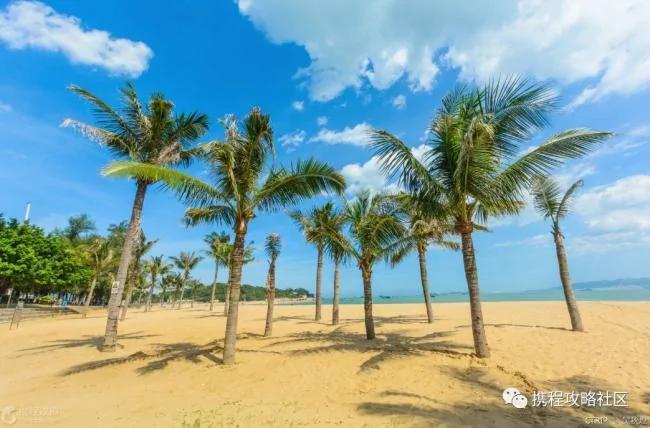 没爱上厦门 是因为你没做过这11件事