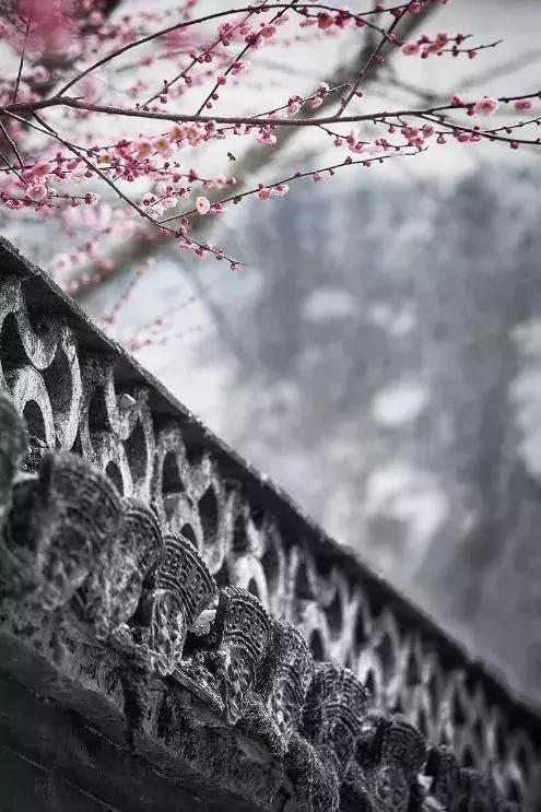 安徽这条中国风公路 处处水墨奇境