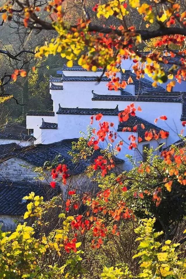 安徽这条中国风公路 处处水墨奇境