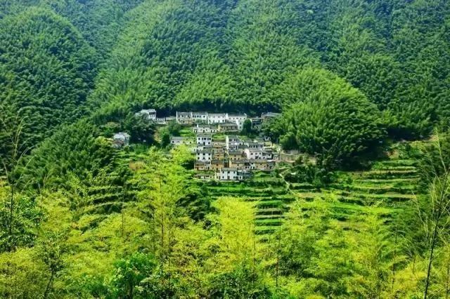 安徽这条中国风公路 处处水墨奇境