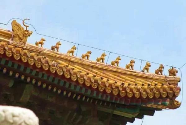 不是每一种动物都能在故宫有一席之地 这些祥禽瑞兽大有来头!