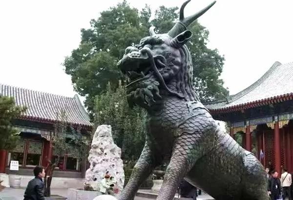 不是每一种动物都能在故宫有一席之地 这些祥禽瑞兽大有来头!