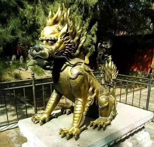 不是每一种动物都能在故宫有一席之地 这些祥禽瑞兽大有来头!