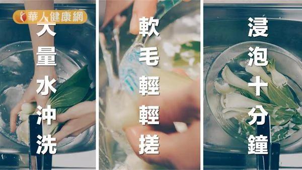 青江菜残留农药心惊惊 营养师教你这样洗干净