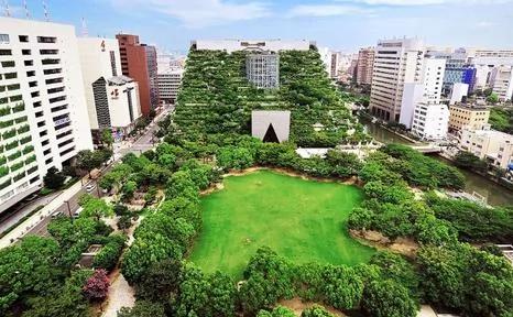 在世界十大最美空中花园 来场丛林冒险