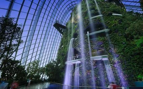 在世界十大最美空中花园 来场丛林冒险