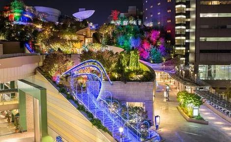 在世界十大最美空中花园 来场丛林冒险