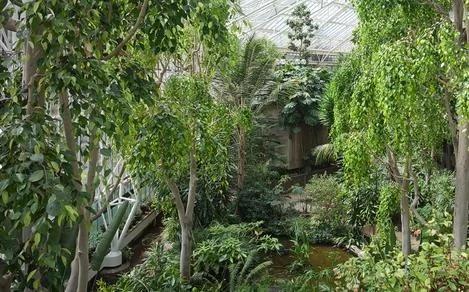 在世界十大最美空中花园 来场丛林冒险
