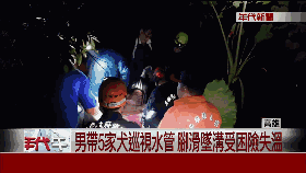 主人不慎掉进山沟 狗狗见状掉头就跑 半个小时就搬来了救兵!