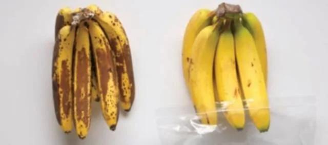 只要一枚硬币 一秒辨别食物是否变质!太神奇了!