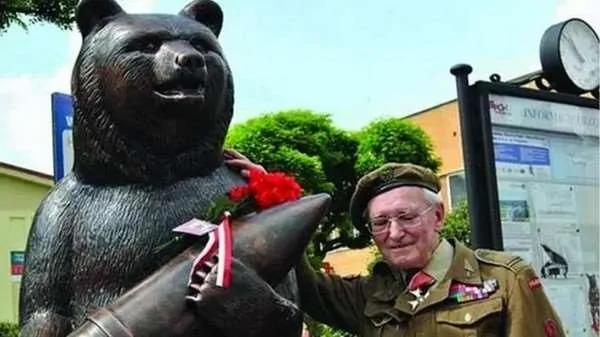 这只熊的一生超传奇 不仅打过“二战” 还获颁“下士”军衔!