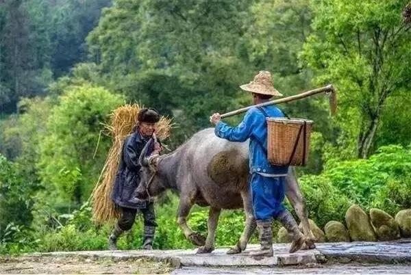 在鲜为人知的古村落 感受清幽避世生活
