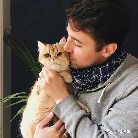一只自带眼线的橘猫…这自带妆感的大眼睛 很妖艳