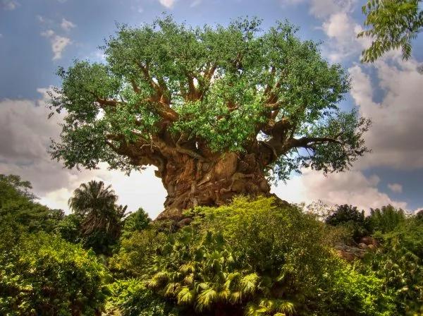 奥兰多旅游攻略:7天玩遍Orlando七大主题公园