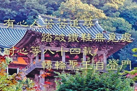 韩国老僧一生的等待和追寻!