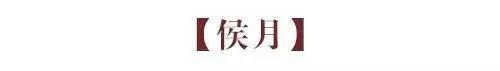 古人九雅 读懂它们 就懂了中国人的极致浪漫