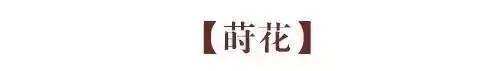 古人九雅 读懂它们 就懂了中国人的极致浪漫