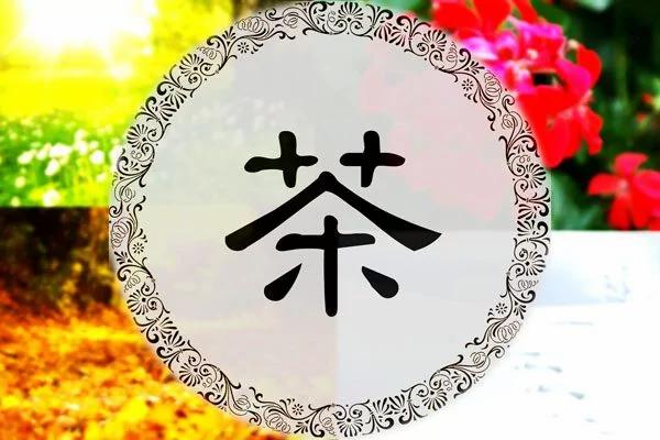 24节气茶单 品味春夏秋冬