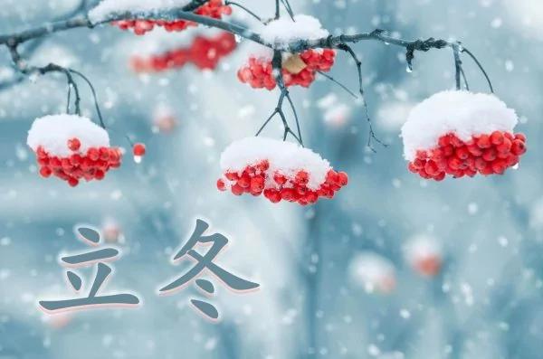 24节气茶单 品味春夏秋冬