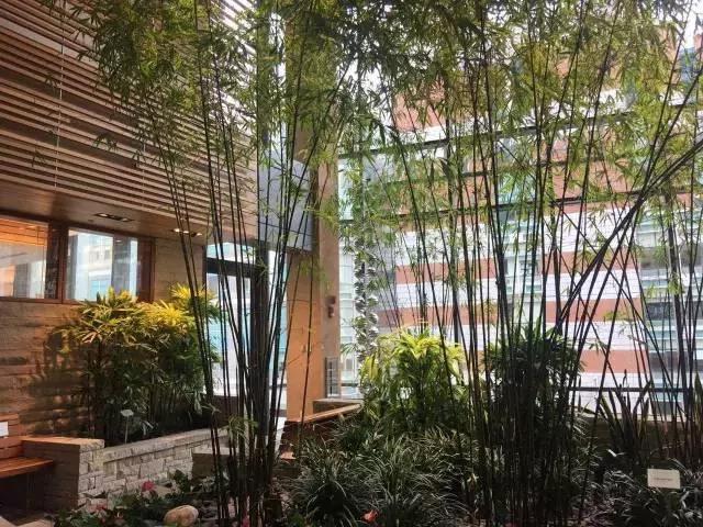 十年癌友全离世 我 还活着…