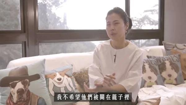 这位女人在家养了100只狗狗 被爱狗的人赞爆!