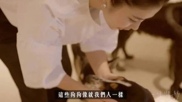 这位女人在家养了100只狗狗 被爱狗的人赞爆!