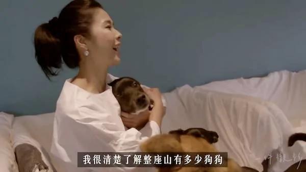 这位女人在家养了100只狗狗 被爱狗的人赞爆!