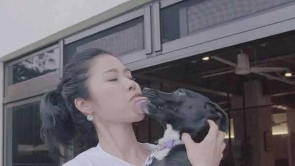 这位女人在家养了100只狗狗 被爱狗的人赞爆!