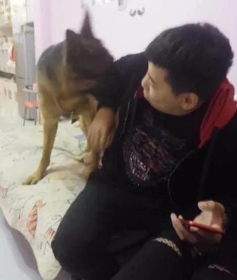 狗狗看见男子打女主人 立马扑了上去 将男子制服!