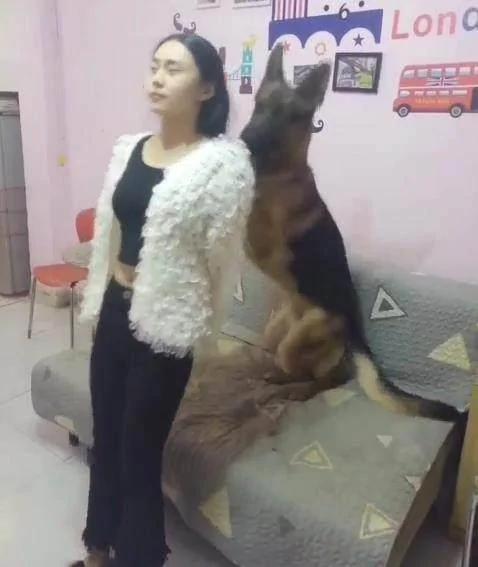 狗狗看见男子打女主人 立马扑了上去 将男子制服!