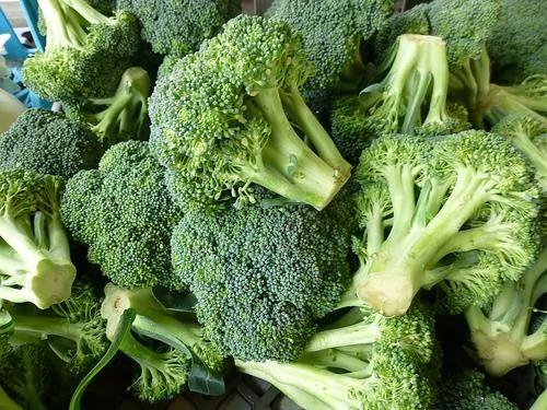 大蒜、地瓜…这6种常见食物 发芽后能吃吗?
