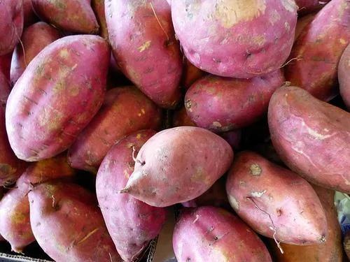 大蒜、地瓜…这6种常见食物 发芽后能吃吗?